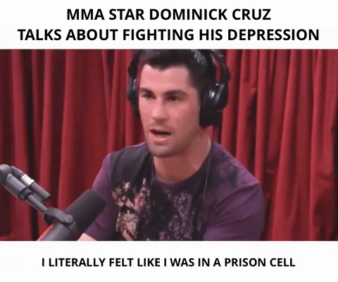 dominick cruz mma GIF