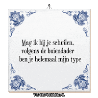 Humor Type Sticker by Tegelspreuken.nl