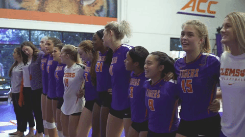 go tigers dancing GIF by Clemson Tigers