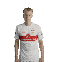 Football Sport Sticker by VfB Stuttgart