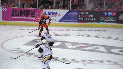 Pittsburgh Steelers Armstrong GIF by Sheff_Steelers