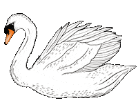 Ballet Presents Sticker by Tatiana Tenue de Danse