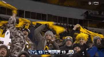 National Football League GIF by NFL