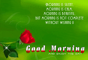 morning glory GIF