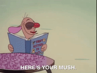 ren and stimpy nicksplat GIF