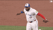 Yell Lets Go GIF by Toronto Blue Jays