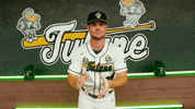 College Baseball Turner GIF by GreenWave