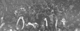 mosh pit GIF by Flosstradamus