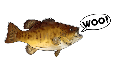 Ric Flair Fish Sticker by WOO! Tungsten