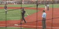 college baseball sport GIF by NCAA Championships