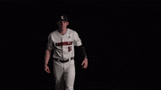 University Of Louisville Baseball GIF by Louisville Cardinals