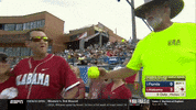 ncaasports ncaa softball alabama wcws GIF