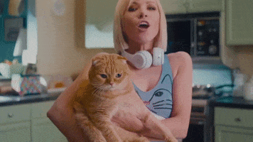 Now That I Found You Cat GIF by Carly Rae Jepsen