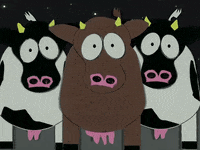 GIF by South Park 