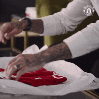 Happy David GIF by Manchester United