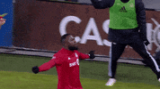 celebrate my house GIF by Toronto FC