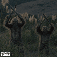Jesse Eisenberg Bigfoot GIF by Bleecker Street