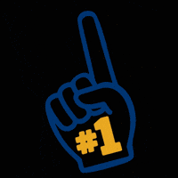 Kent Regionals GIF by Kent State Regional Campuses