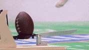 football cats GIF by Hallmark Channel