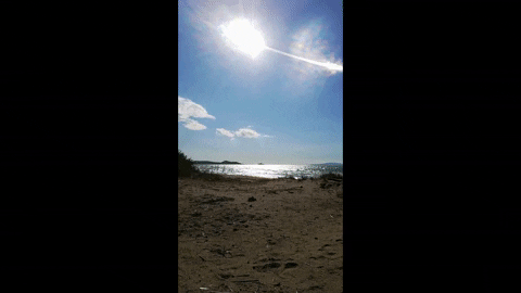 Simongip giphygifmaker GIF