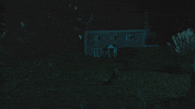 Horror Huluween GIF by HULU