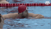 Happy Dance GIF by USA Swimming