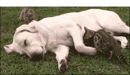 cuties spooning GIF