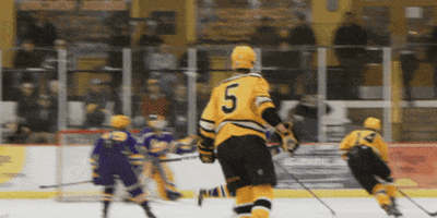 Golden Bears Snipe GIF by Hockeyland