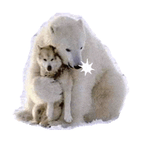 Wolf Hugs Sticker by imoji