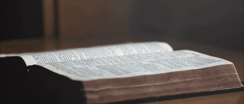 jordanbergren giphyupload GIF