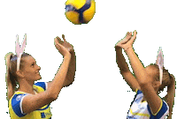 SSCPalmberg_Schwerin volleyball ssc schwerin sscpalmbergschwerin Sticker