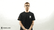 ShopifyRebellion rebellion dazzle shopify rebellion sr dazzle GIF