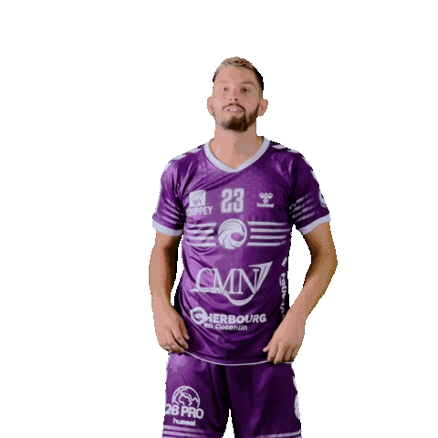 Heart Arrow Sticker by JS Cherbourg Handball