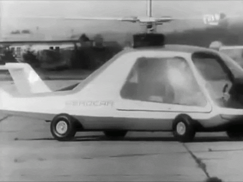 bartomiejsieja giphyupload GIF