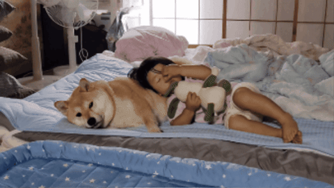 cuteanimalland giphygifmaker GIF