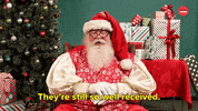 Mall Santa Christmas GIF by BuzzFeed