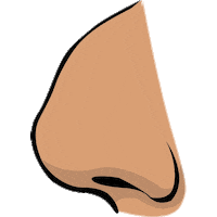 Surgeon Plasticsurgeon Sticker by Esthetics Center