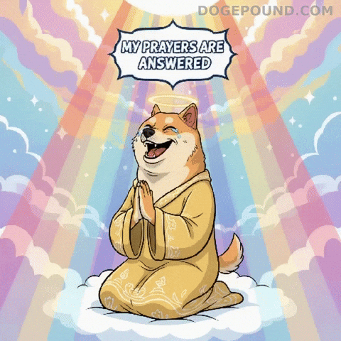 Happy Shiba Inu GIF by Doge Pound