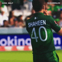 Eagle Sh GIF