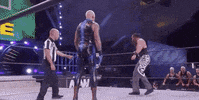 Dustin Rhodes Aew On Tnt GIF by All Elite Wrestling on TNT
