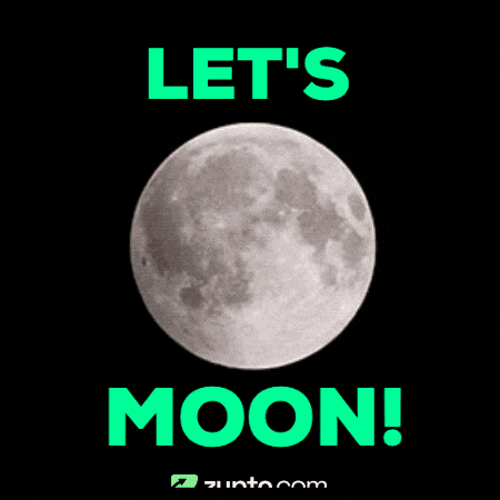 To The Moon Bitcoin GIF by Zypto