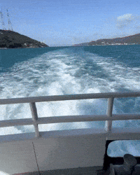 Umid GIF