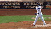 Ny Mets Sport GIF by New York Mets