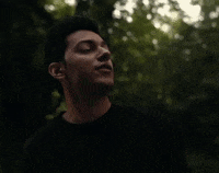 Mishaal GIF