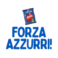 Euro Nazionale Sticker by Fonzies