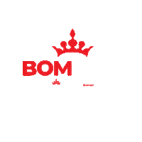 Bom Dia Soberano Sticker by BarbanteSoberano