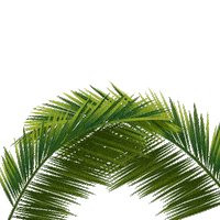 Beer Beach Sticker by Cerveza Soberana