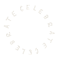 emendress party celebration celebrate minimal Sticker