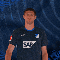 Sport Hallo GIF by TSG Hoffenheim