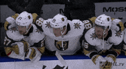 Happy Ice Hockey GIF by NHL